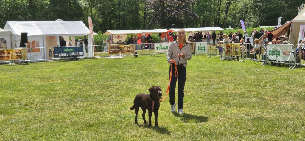 Live demonstratie met honden uit het publiek